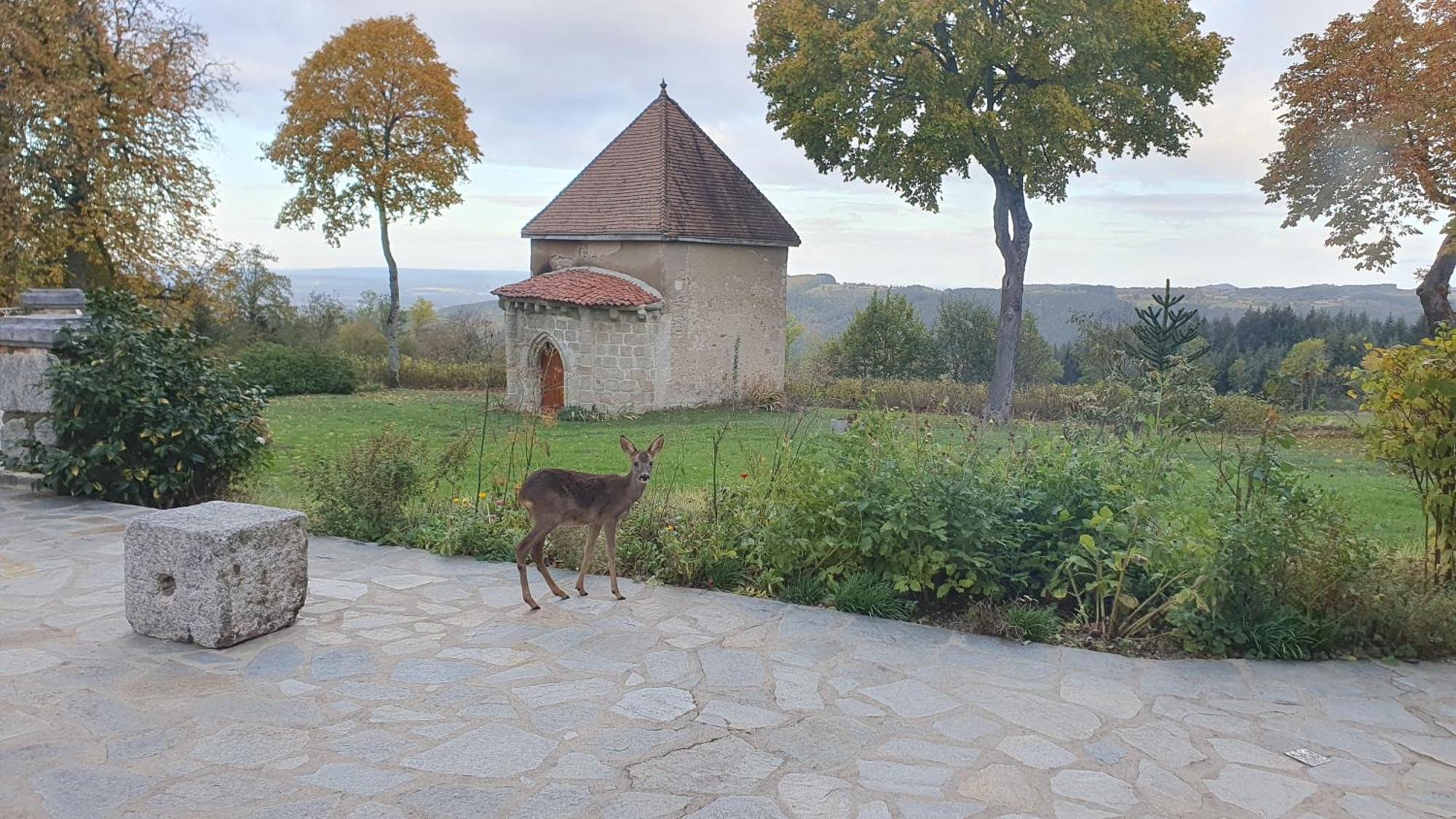 Domaine De Montvianeix Saint-Victor-Montvianeix Exterior foto